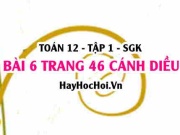 Bài 6 trang 46 Toán 12 tập 1 Cánh Diều